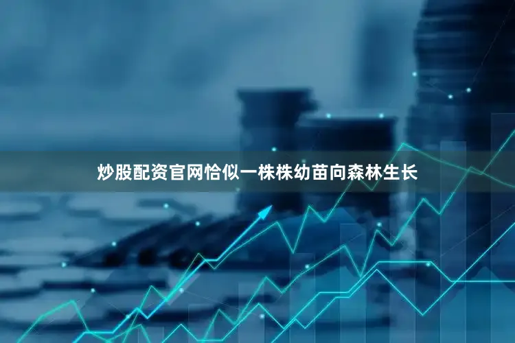 炒股配资官网恰似一株株幼苗向森林生长