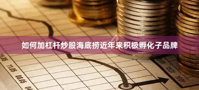 如何加杠杆炒股海底捞近年来积极孵化子品牌